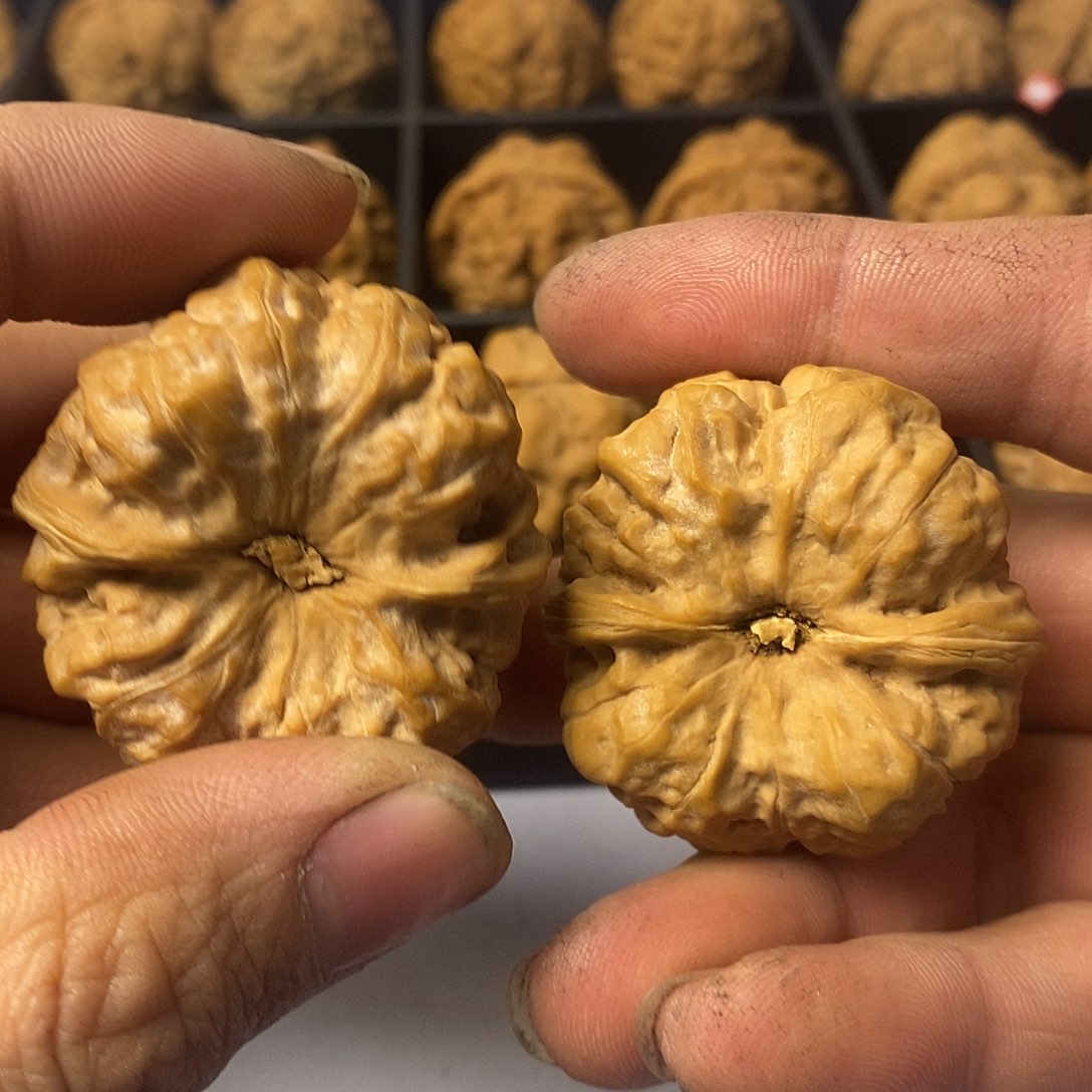 A***宇42.5尺寸5555555555