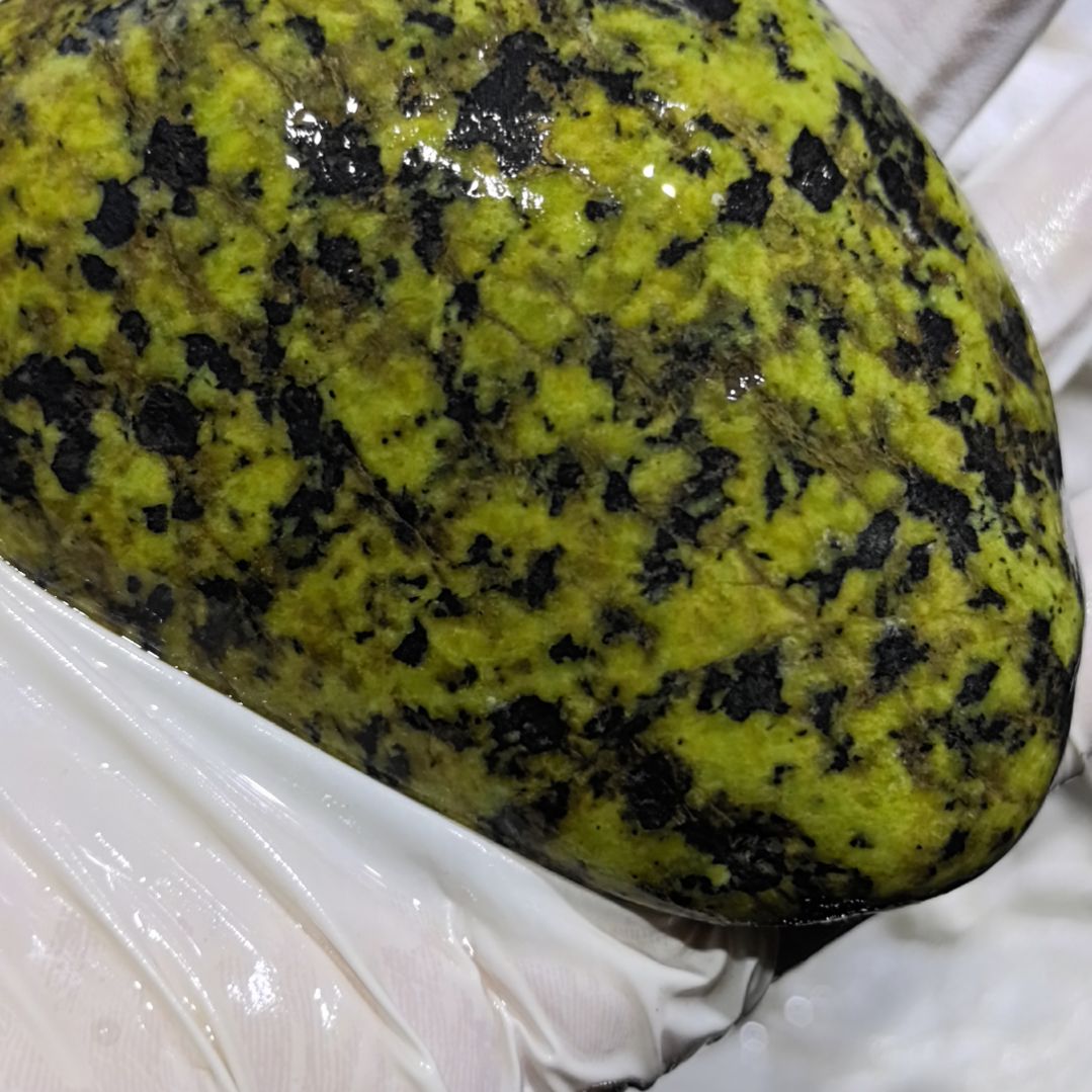 玩***童藏玉药王石原石一个摆件