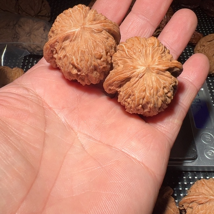 可***喝文玩核桃吊坠磨盘狮子头核桃把件