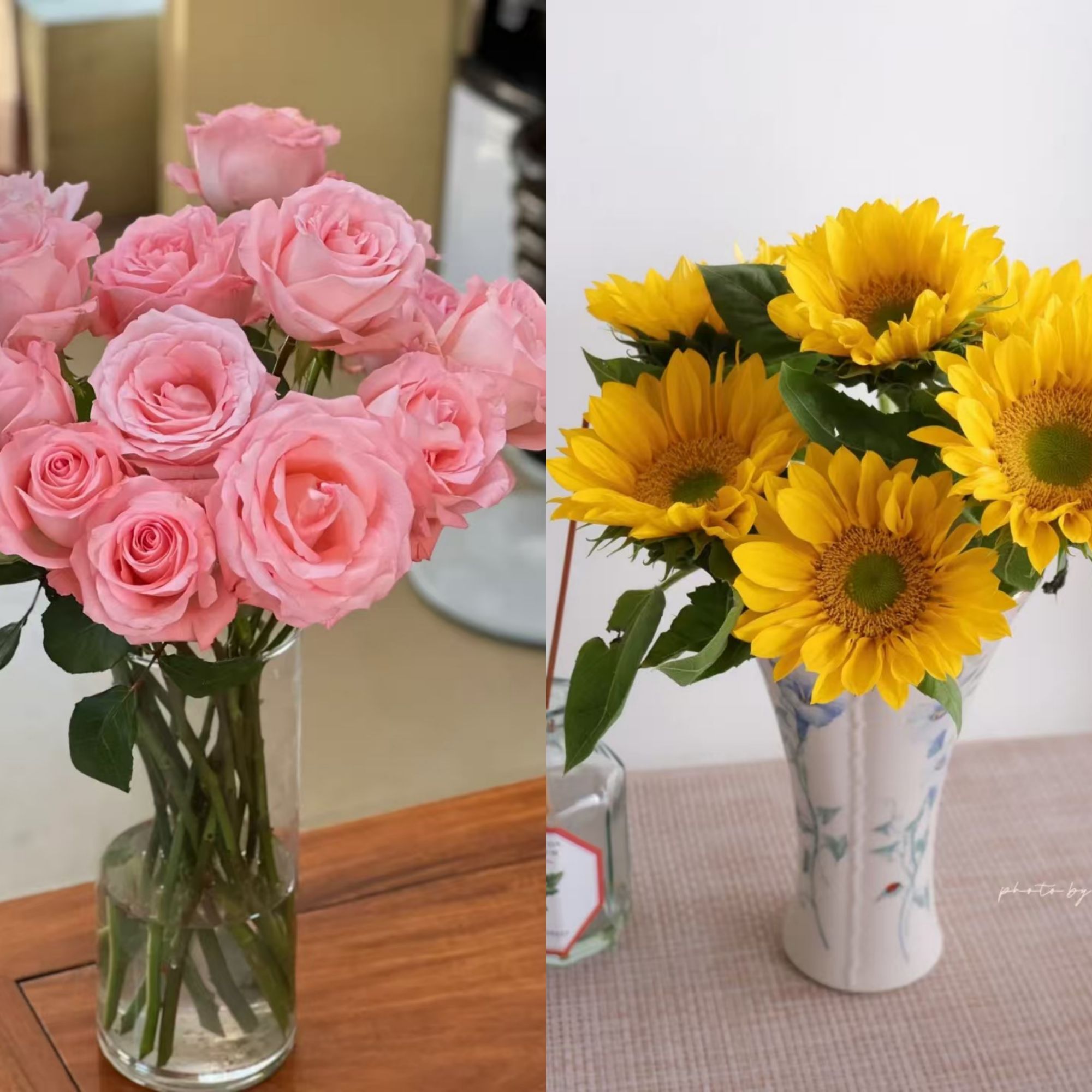 【宠粉福利】【戴安娜玫瑰10支+送迷你绿心向日葵5支】鲜花2件包邮