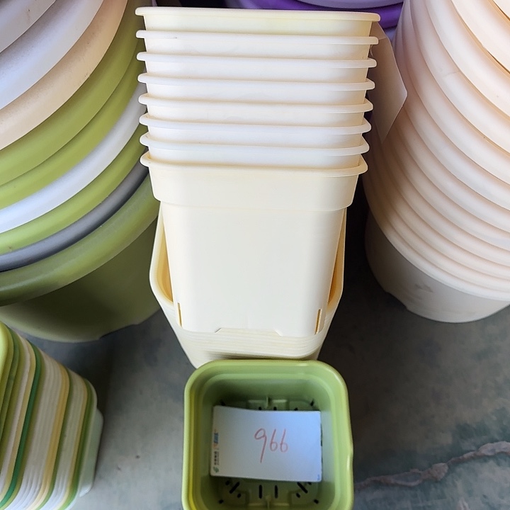 方16口径10个无托米黄瑕疵门口新款