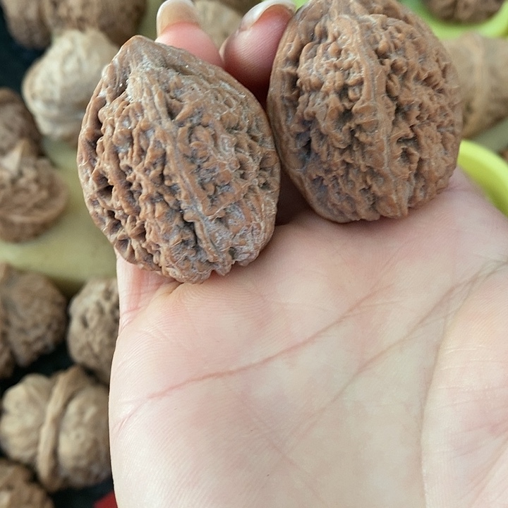 35大蒜头大蒜头大蒜头