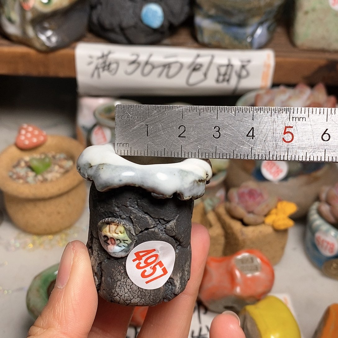 红陶拍5送一个小