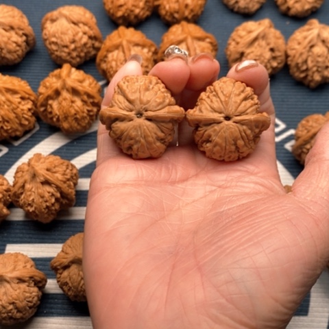 橄榄核手串/手链小*子莲花34