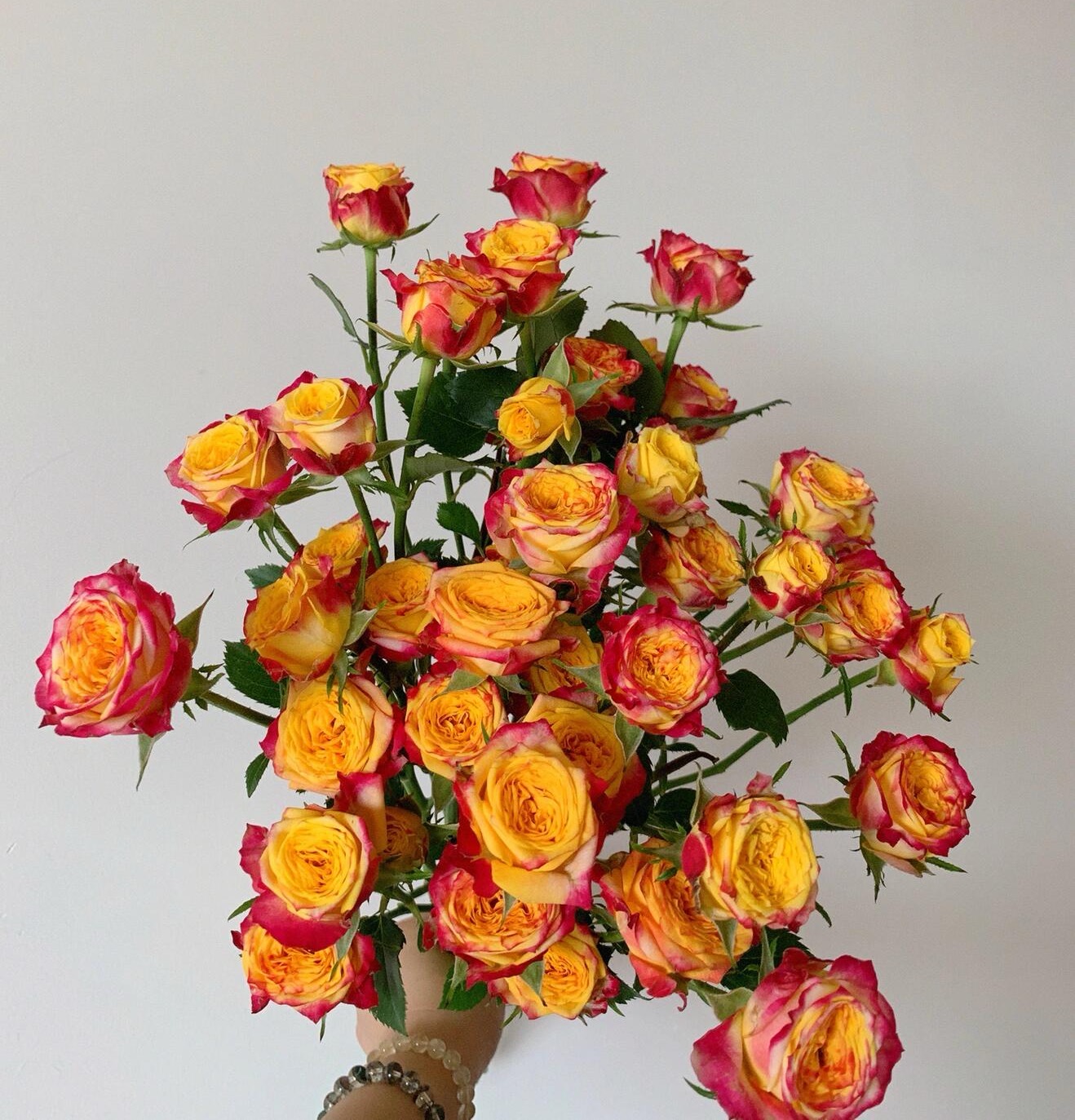 【买一送一】小头新品失地之火泡泡10支  多头玫瑰  云南基地鲜花