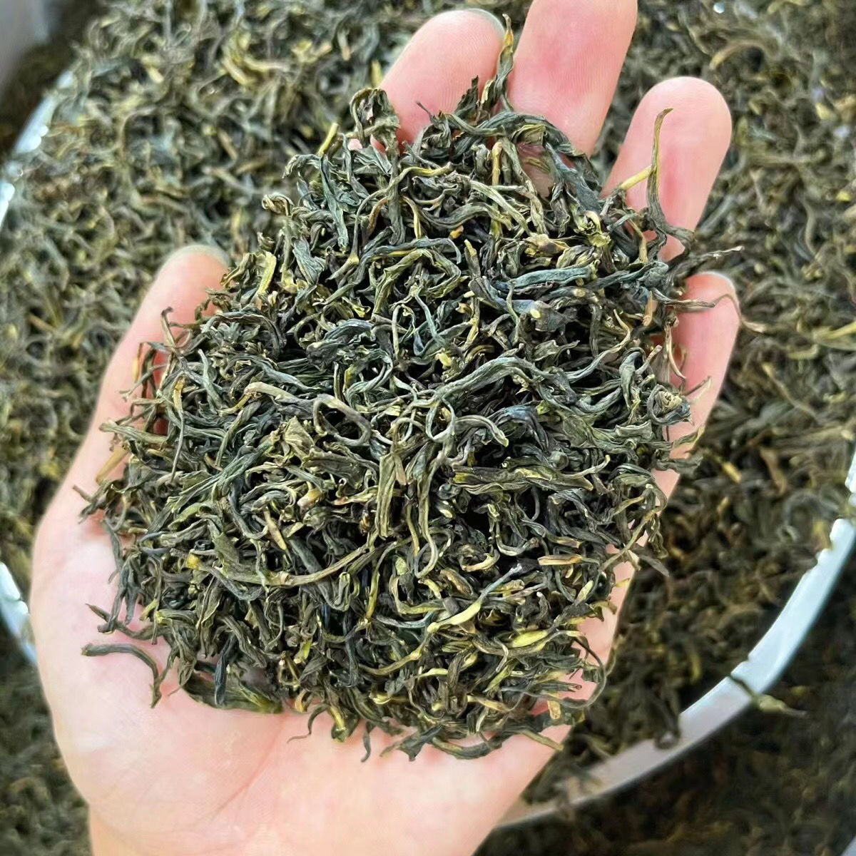 500克装南雄白毛尖粤北特产浓香高级茶叶