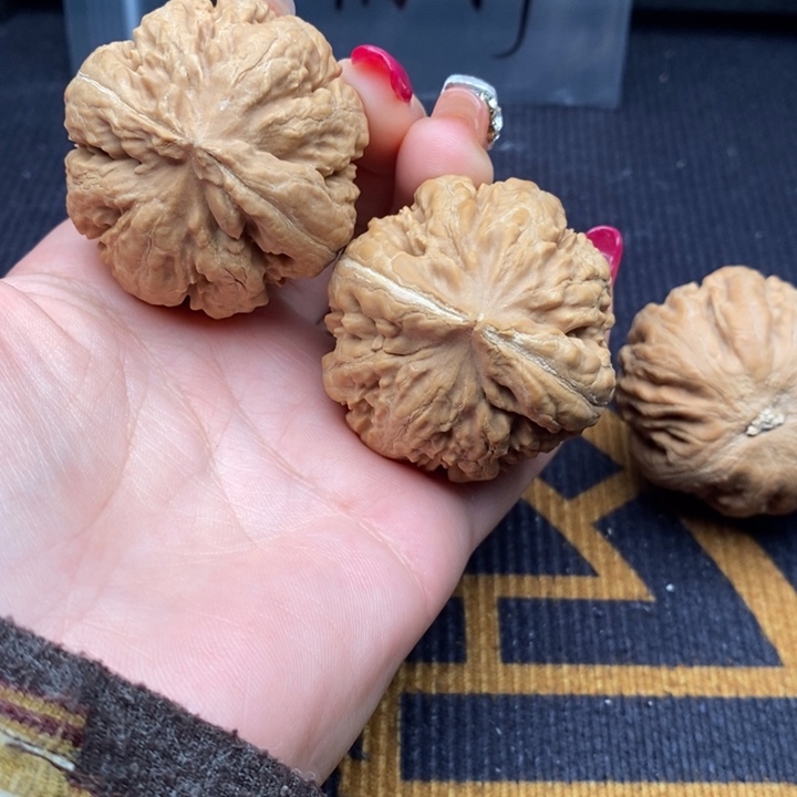 王***头把件文玩核桃霸王龙