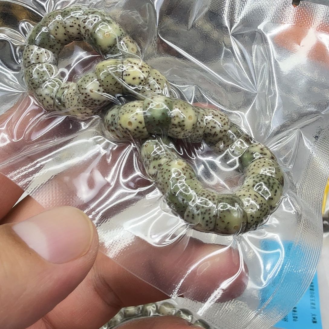 星月菩提手串32卓越糯冰星月菩提单圈1.0大肠