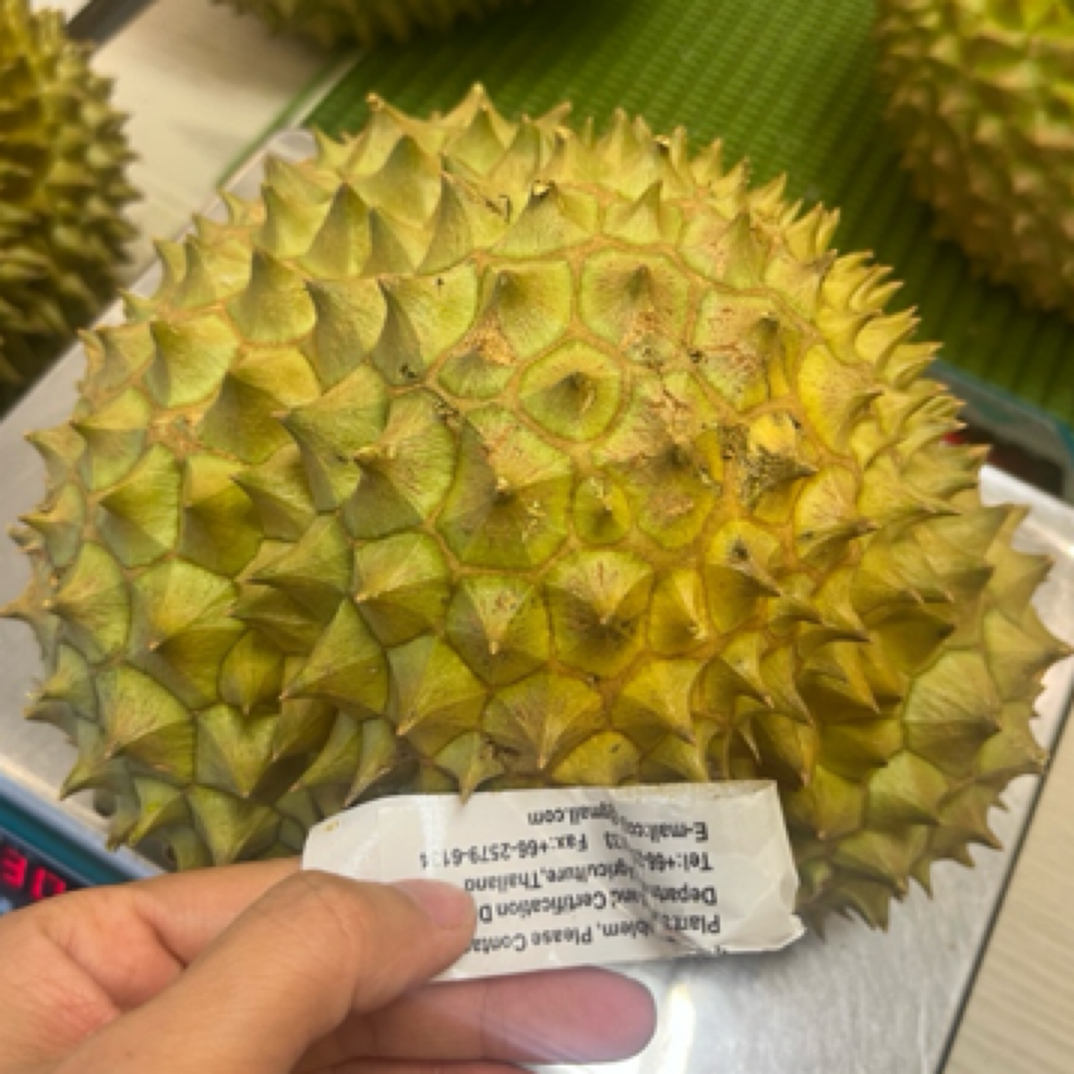 泰国高品质金枕榴莲一果一拍包甜糯32一斤（约4～8斤）核小新鲜金枕泰国