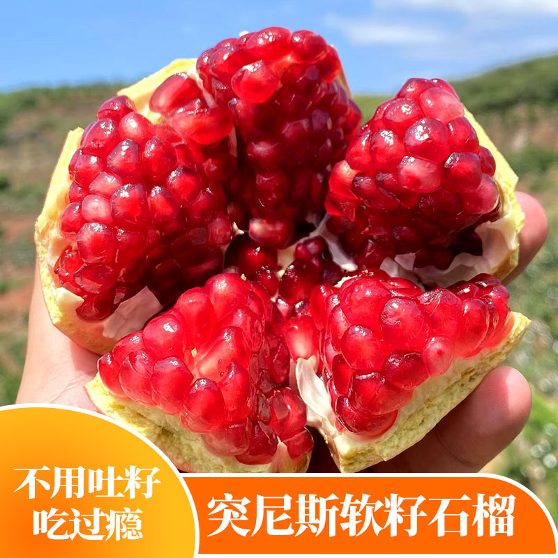 【匠耕蜜】四川会理软籽石榴甜蜜多汁新鲜应季水果包邮发货