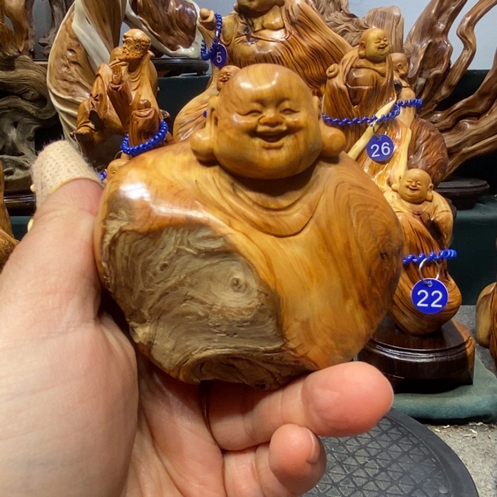 柏木（崖柏）悬崖边缘的太行崖柏