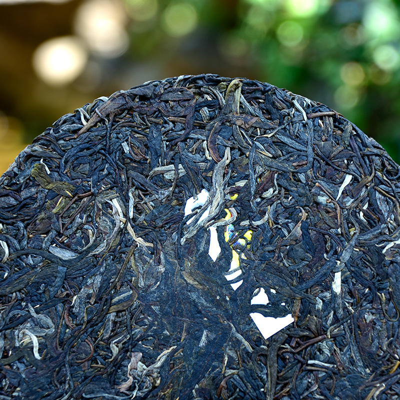 【搜茶特工队】生茶通用链接