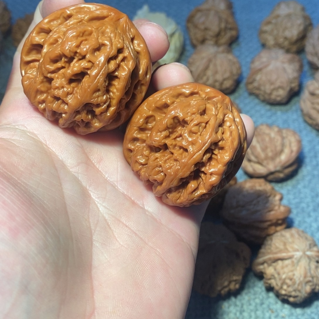 41大粗筋回血。      