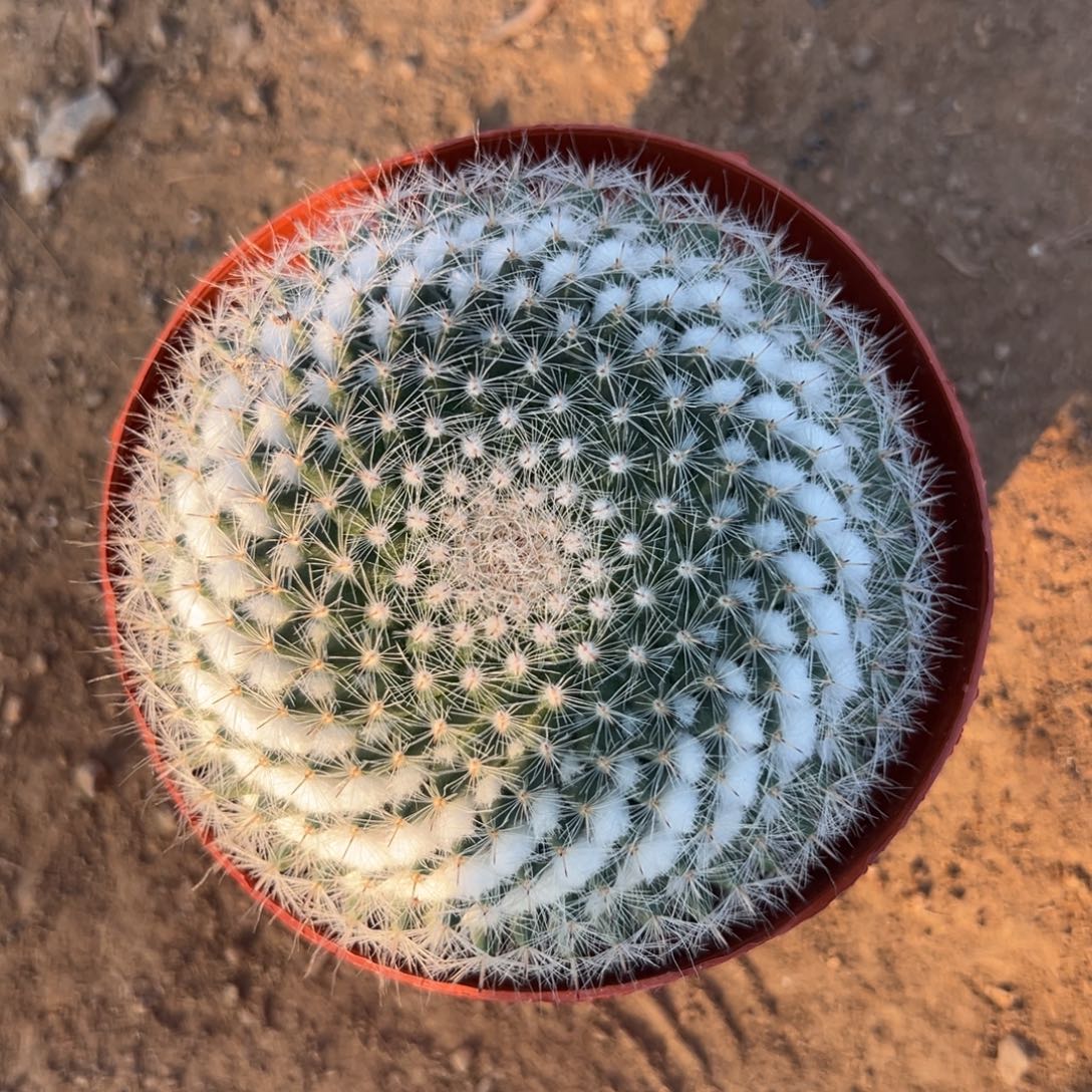 Y***❥0。零零落落 零零落落