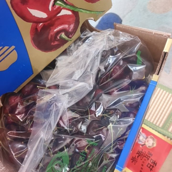 海运车厘子单J5斤（沈阳跑腿）桑提娜智利