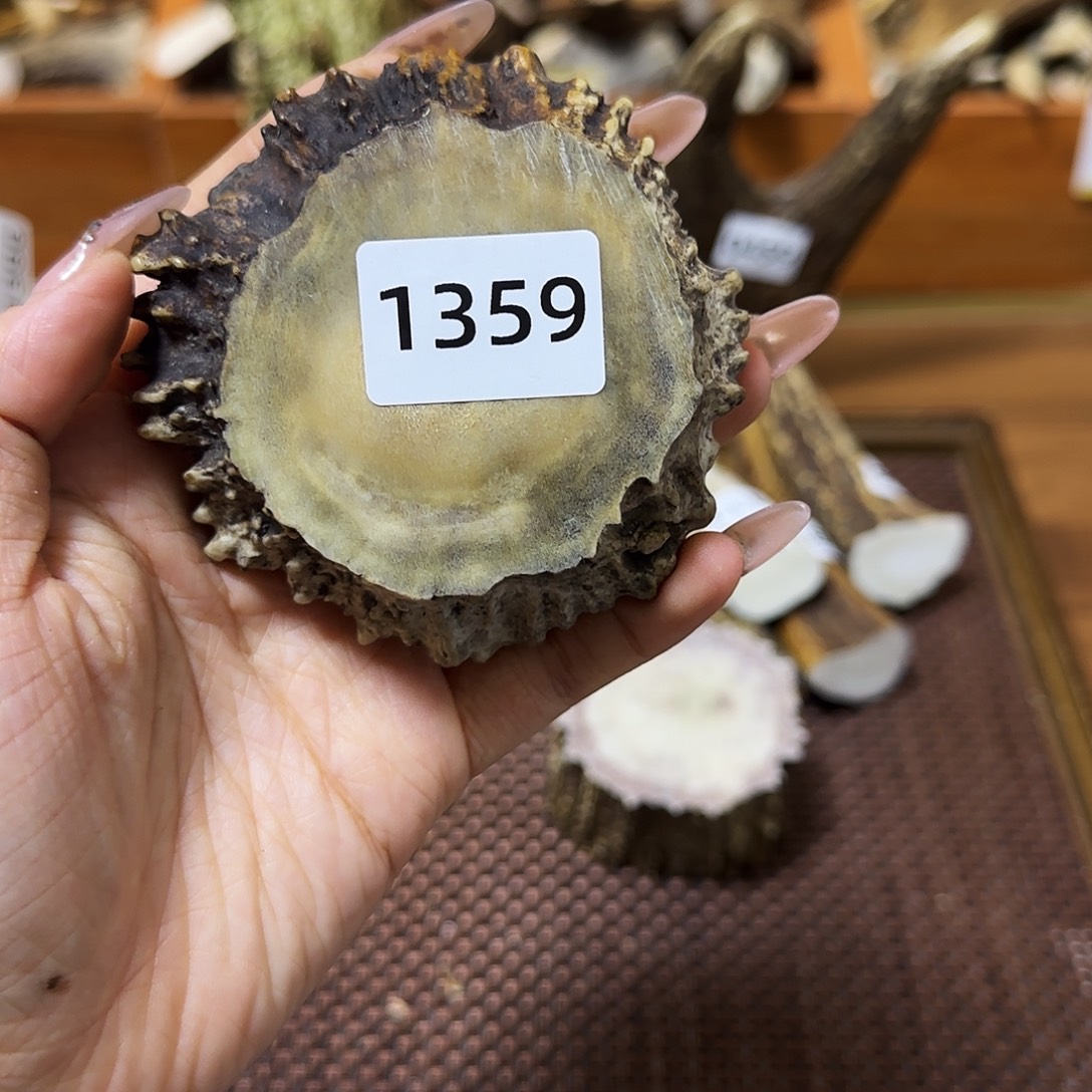 手串/手链鹿骨1359角帽