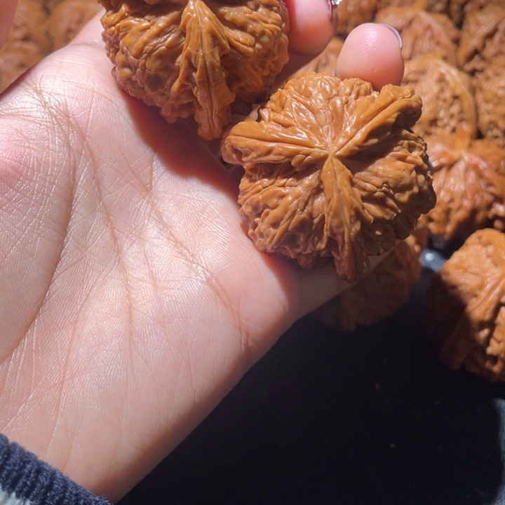 埋***书吊坠文玩核桃白狮子