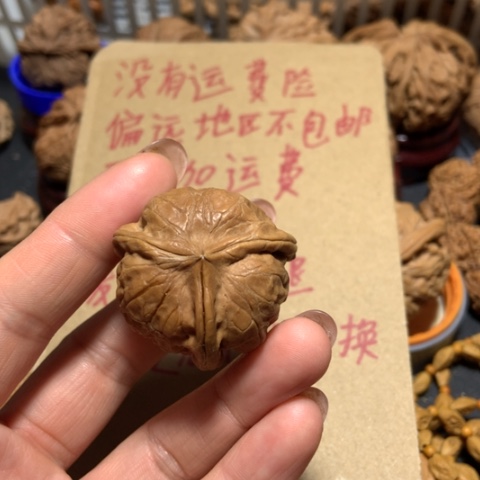 核桃阿*三棱单只一个