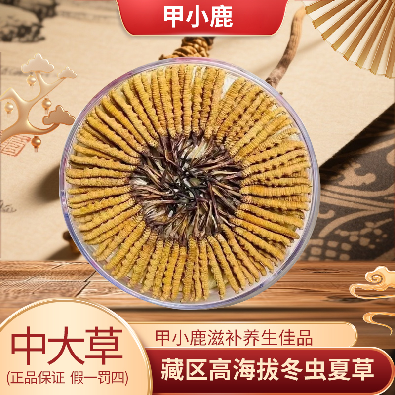 【中大草】青海玉树藏区高海拔正宗冬虫夏草整根虫草滋补食用泡水