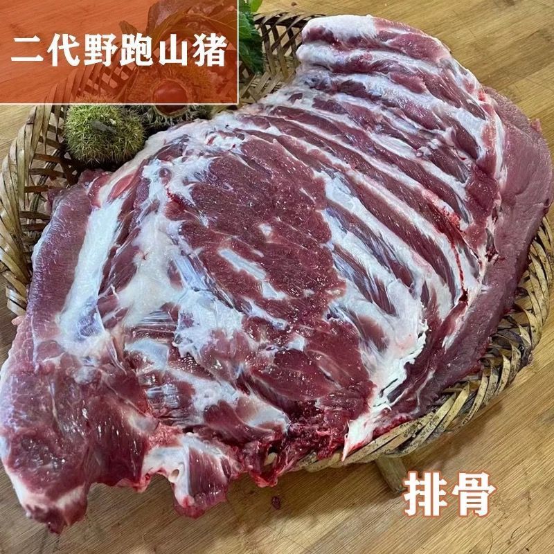 （纯排骨）粤北野二代跑山猪顺丰冷链直送纯正天然无添加