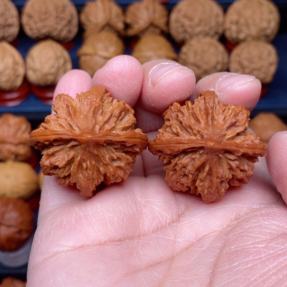 把件文玩核桃手捻野生精品花王