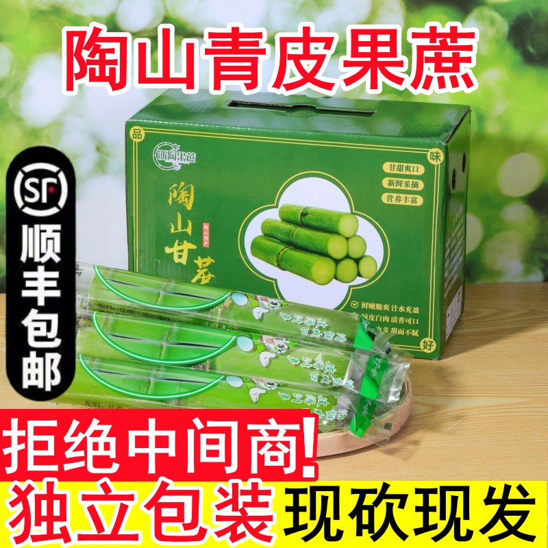 顺丰陶山甘蔗应季温州特产新鲜水果青皮绿皮甘蔗果蔗孕妇整箱礼盒