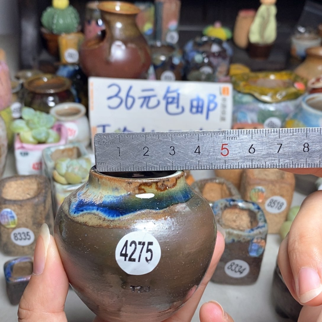 拍5送一个小礼物