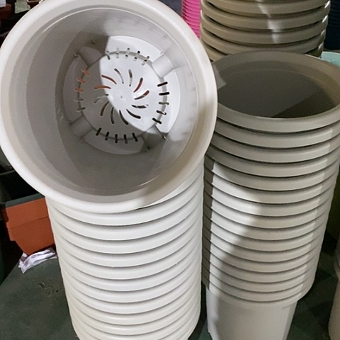 树脂微瑕灰白7号无托6个