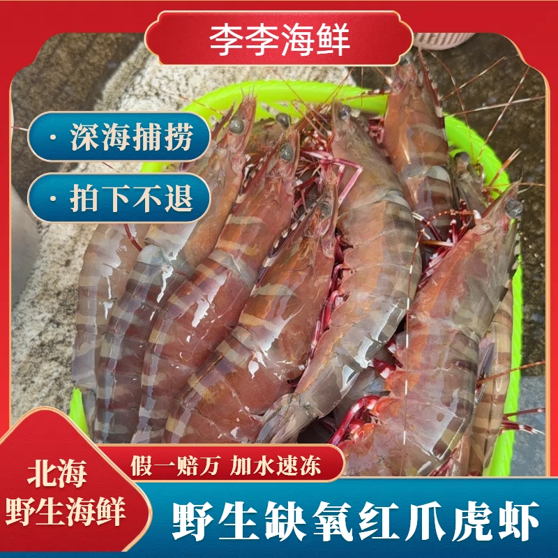 （缺氧红爪虾）北海新鲜海虾现称 加水速冻 码头代购 拍下不退