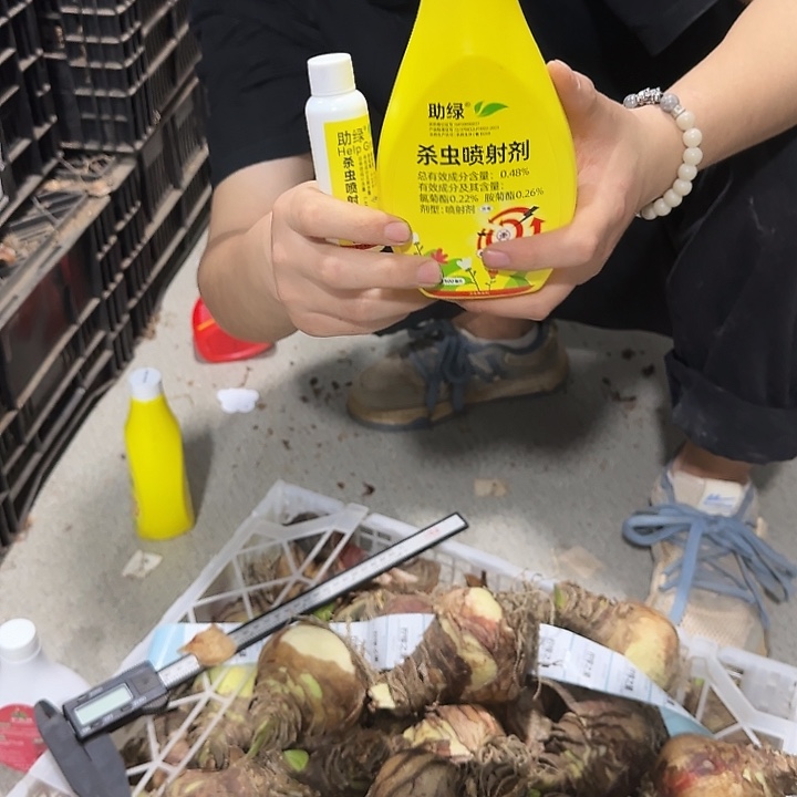 1号大黄瓶福利福利