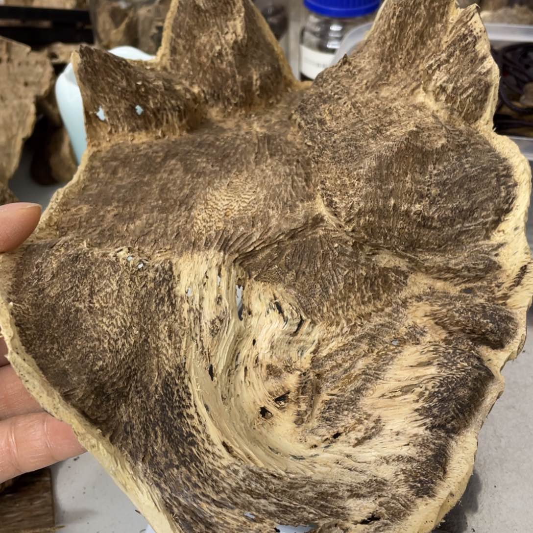 沉香摆件海南沉香熏香块料52克