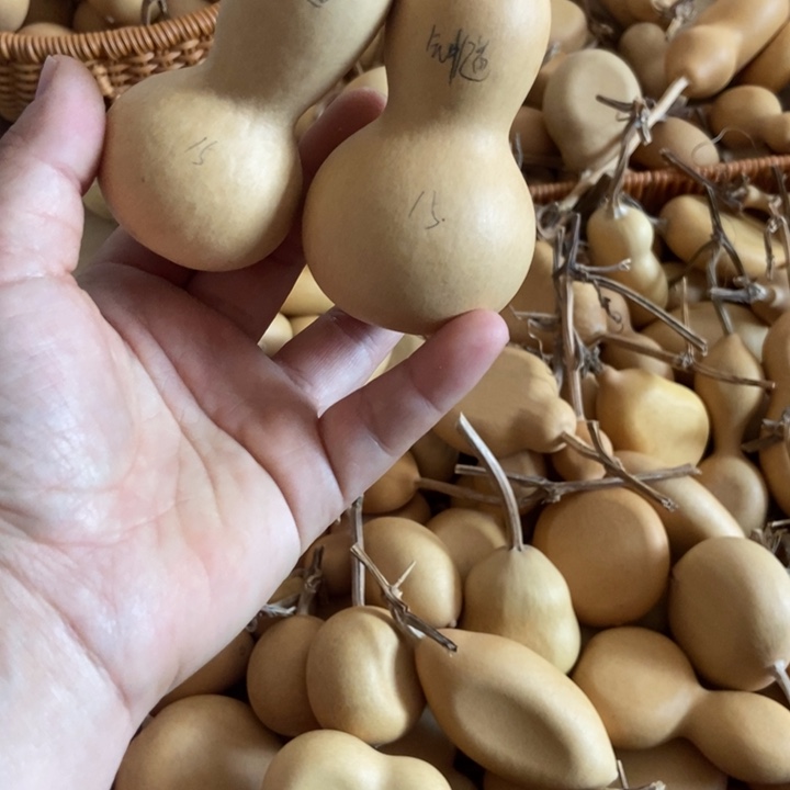 钟***人钟馗钟馗恭喜发财