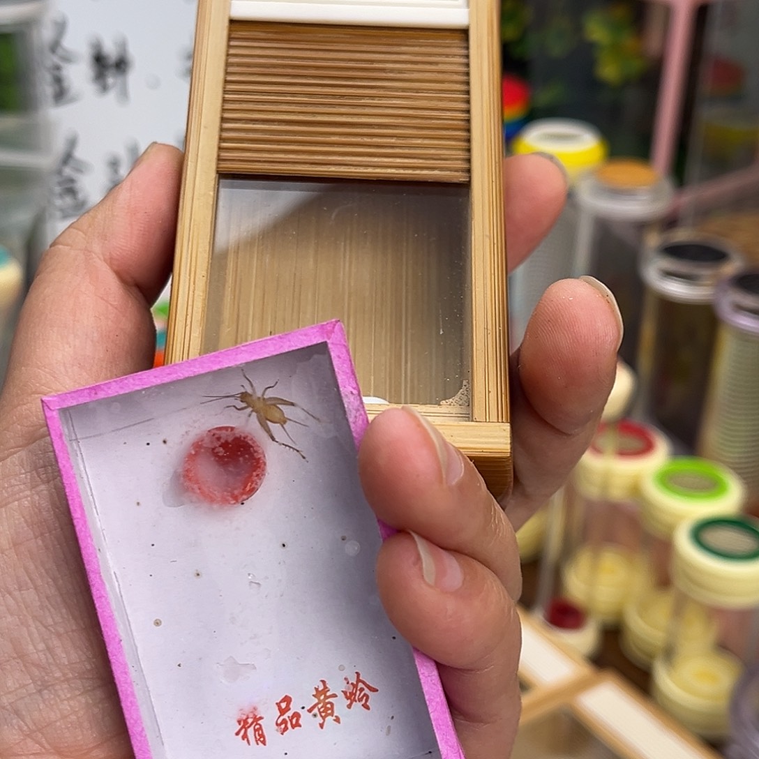 卷帘门➕中黄哈哈哈