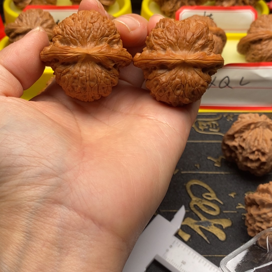 ****肥文玩核桃吊坠血麒麟