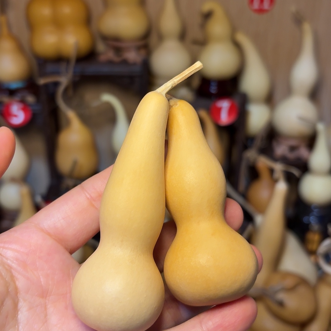 五***风358989888888778898999