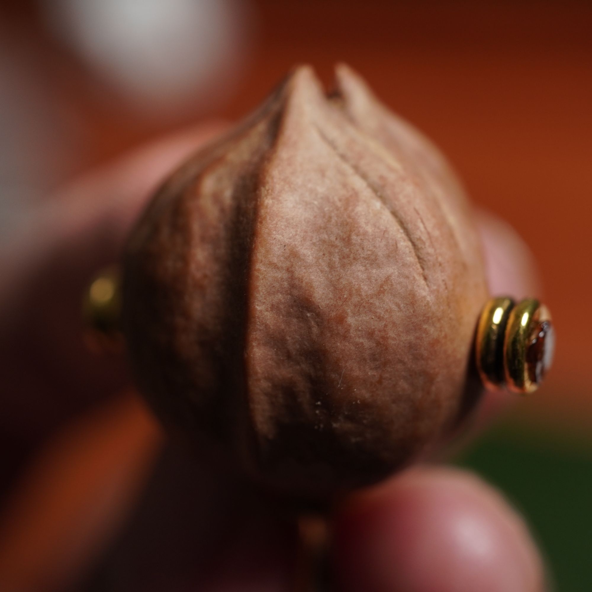 【聽風記出品】正宗梅林铁核百年老树三花铁核原生态三通单籽