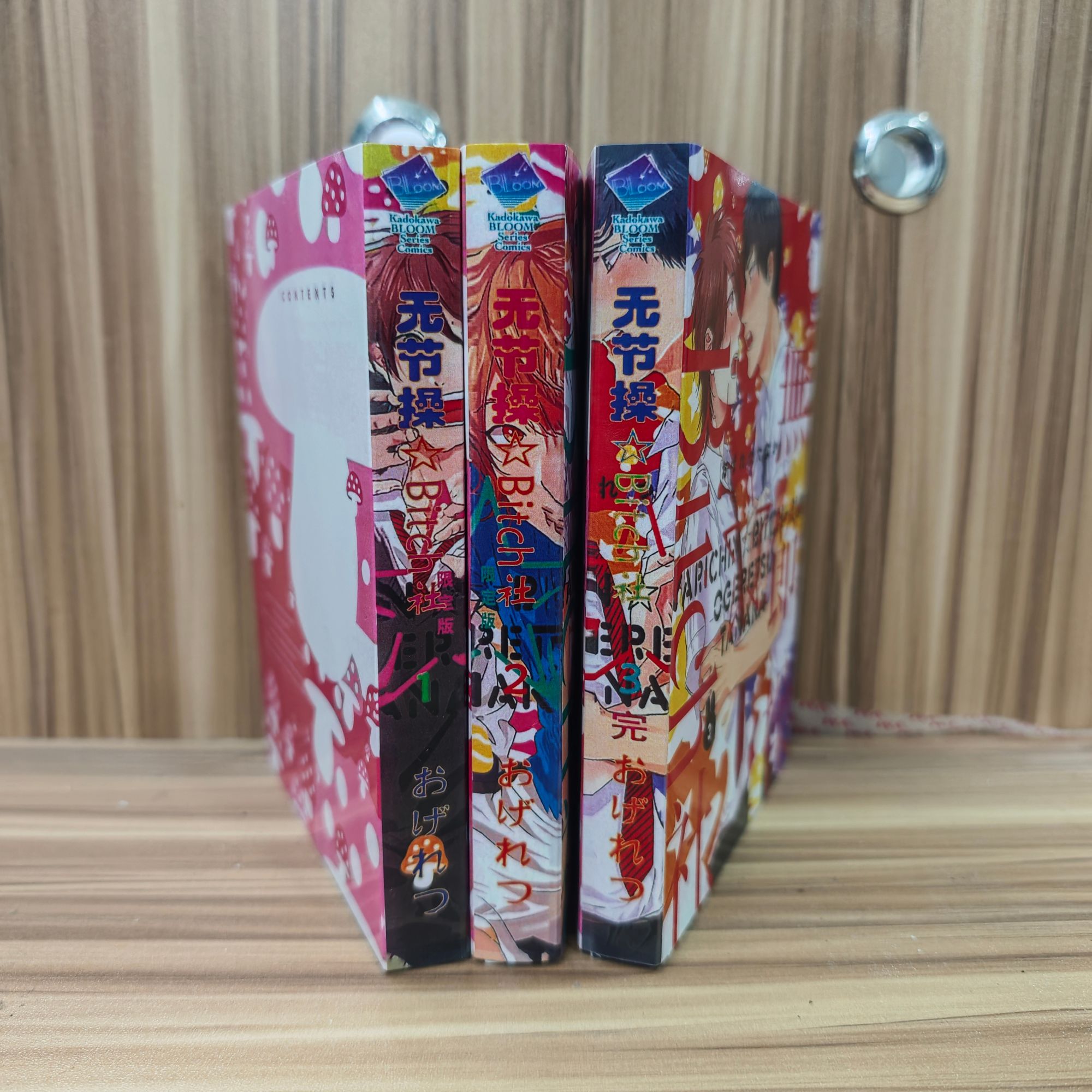 【高清1080p】双封面摄影部bitch合集（含5卷）