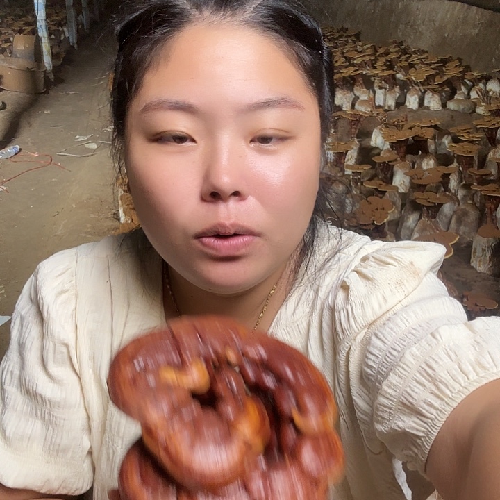 无花朵乌*灵芝孢子粉和