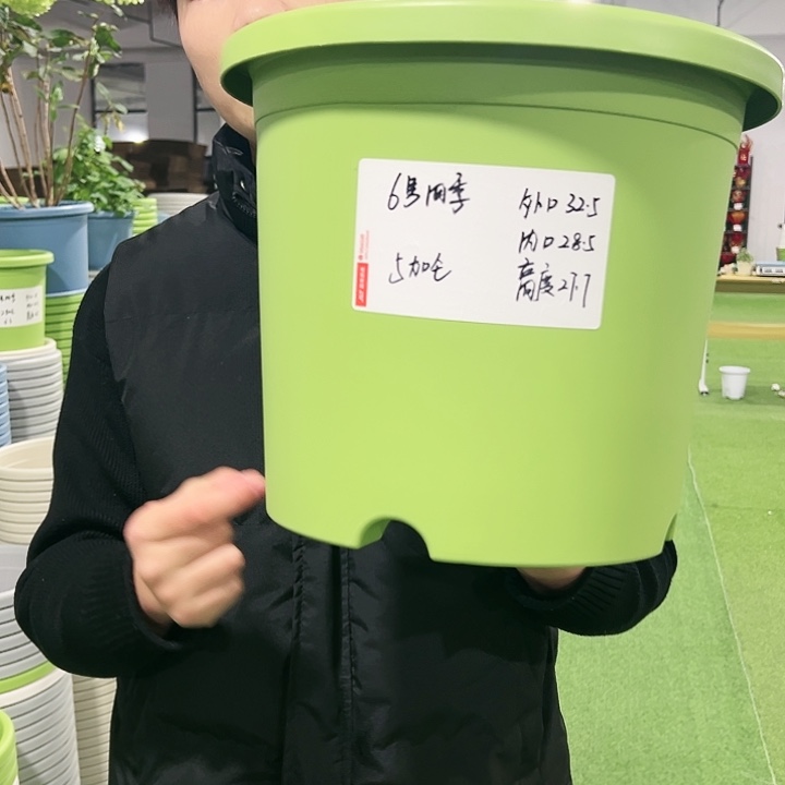 特价6号口32高27.7果绿色7只无托