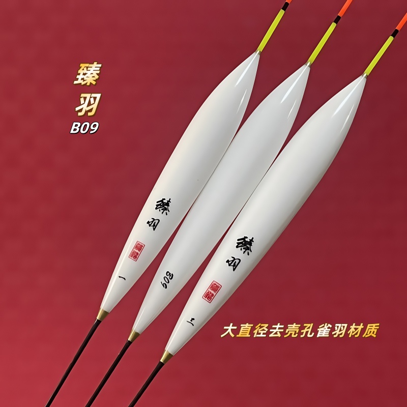 臻羽浮漂B09大直径去壳孔雀羽黑坑鲤鱼中小炮场正钓深水鲤鱼鱼漂