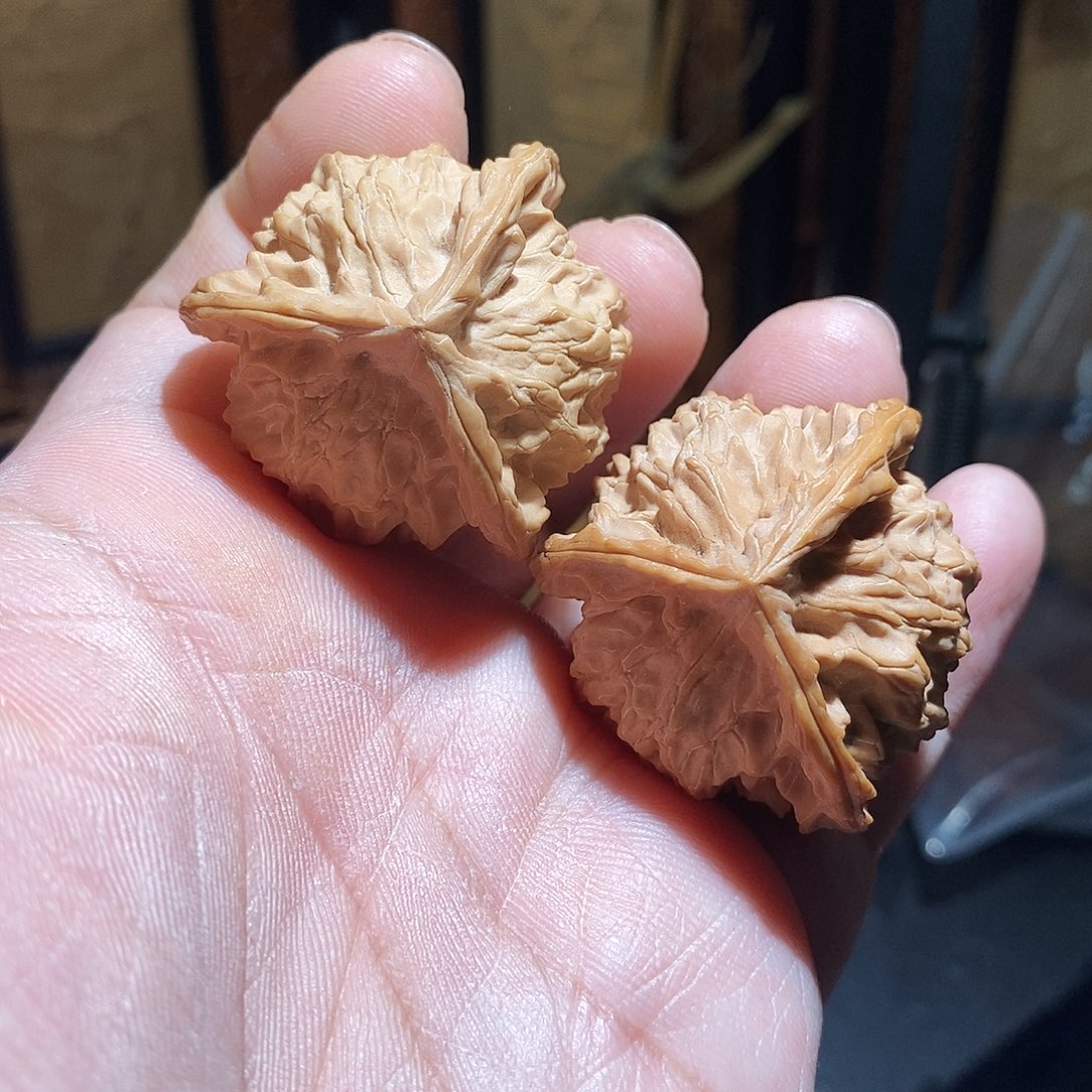 文玩核桃把件39盘山三棱全品