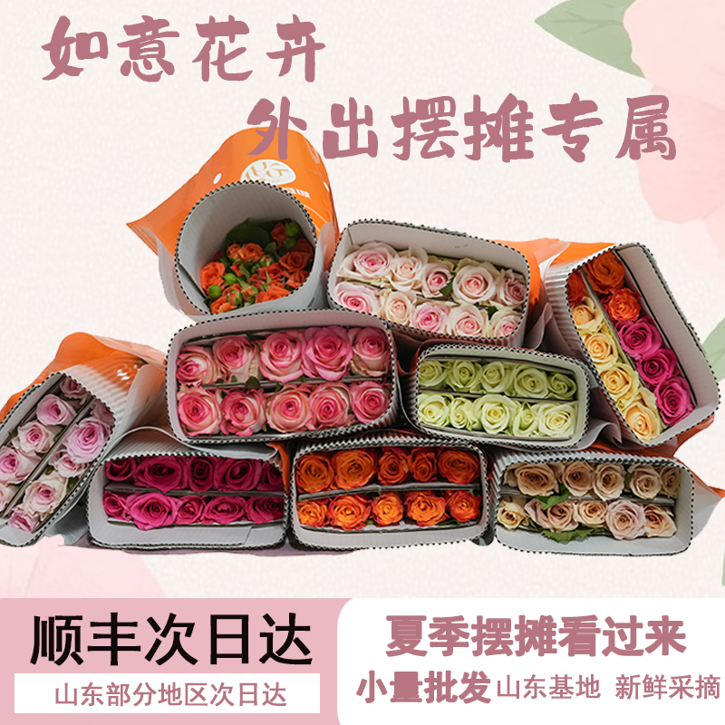 如意夏季摆摊玫瑰批发【40cm】顺丰包邮新鲜发货