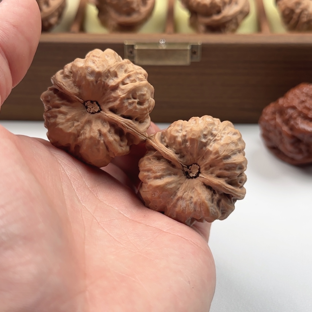 绽***晨核桃把件延庆蛤蟆