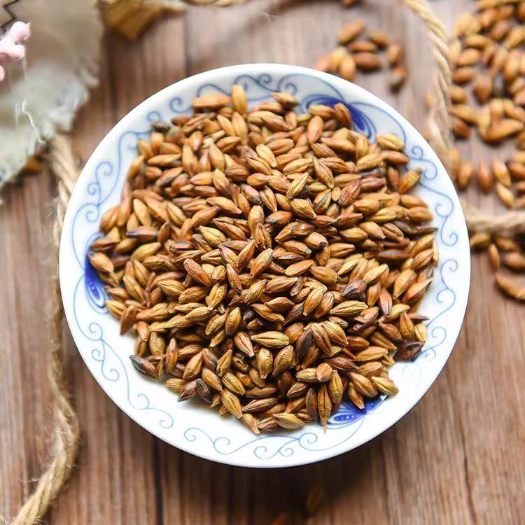 正宗大麦茶原味浓香型饭店烘焙专用大麦茶茶包炒熟养生茶