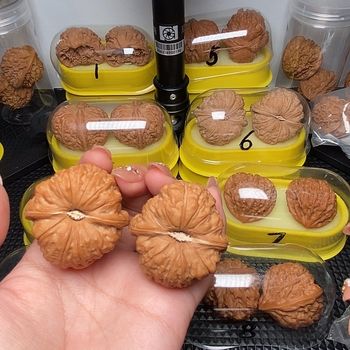 44荷叶第南瓜墩       