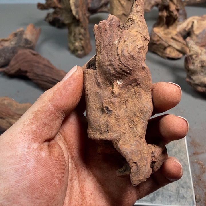 黄花梨/降香黄檀只***买海南红降