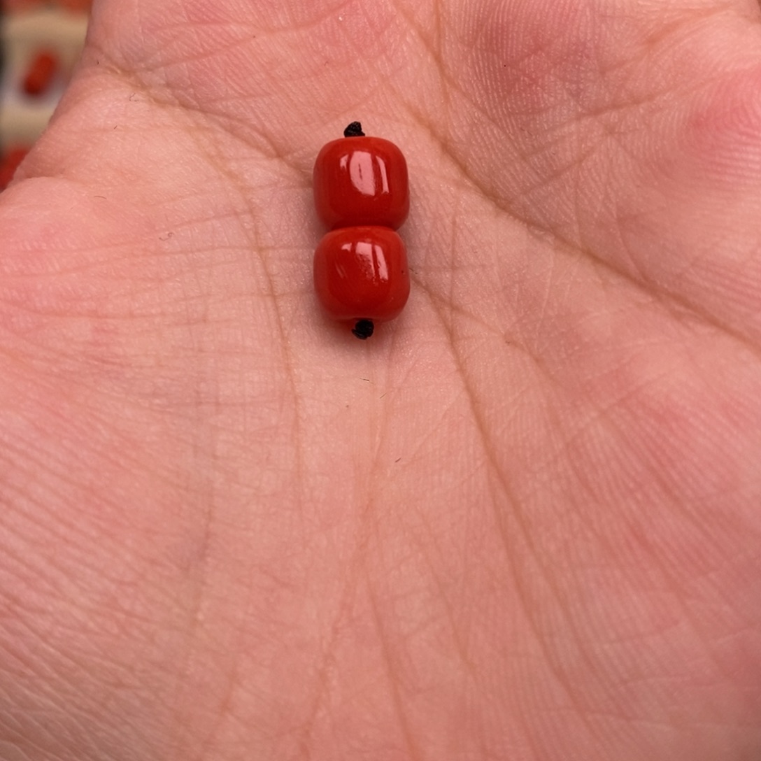 伏饿了头木复读复读复读木嗯头