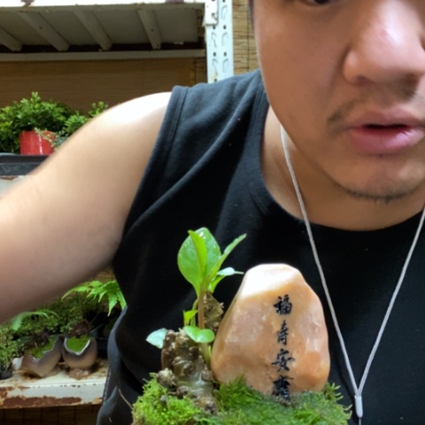 红陶乌**天一物一拍所见即所得45