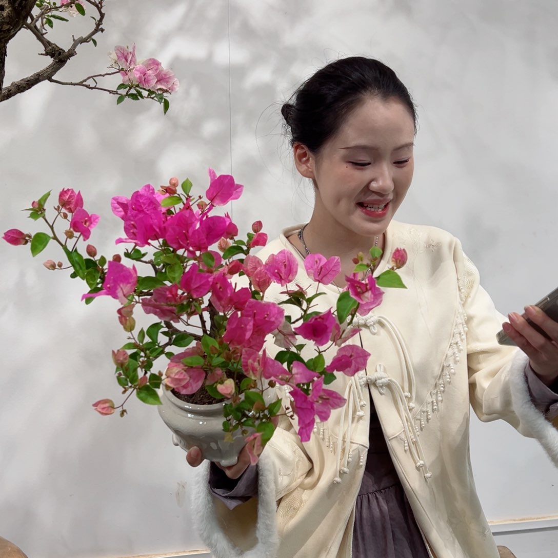 无花朵m**o三角梅三角梅三角梅