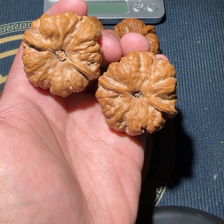 文玩核桃吊坠ༀ****ༀ蛤蟆头1